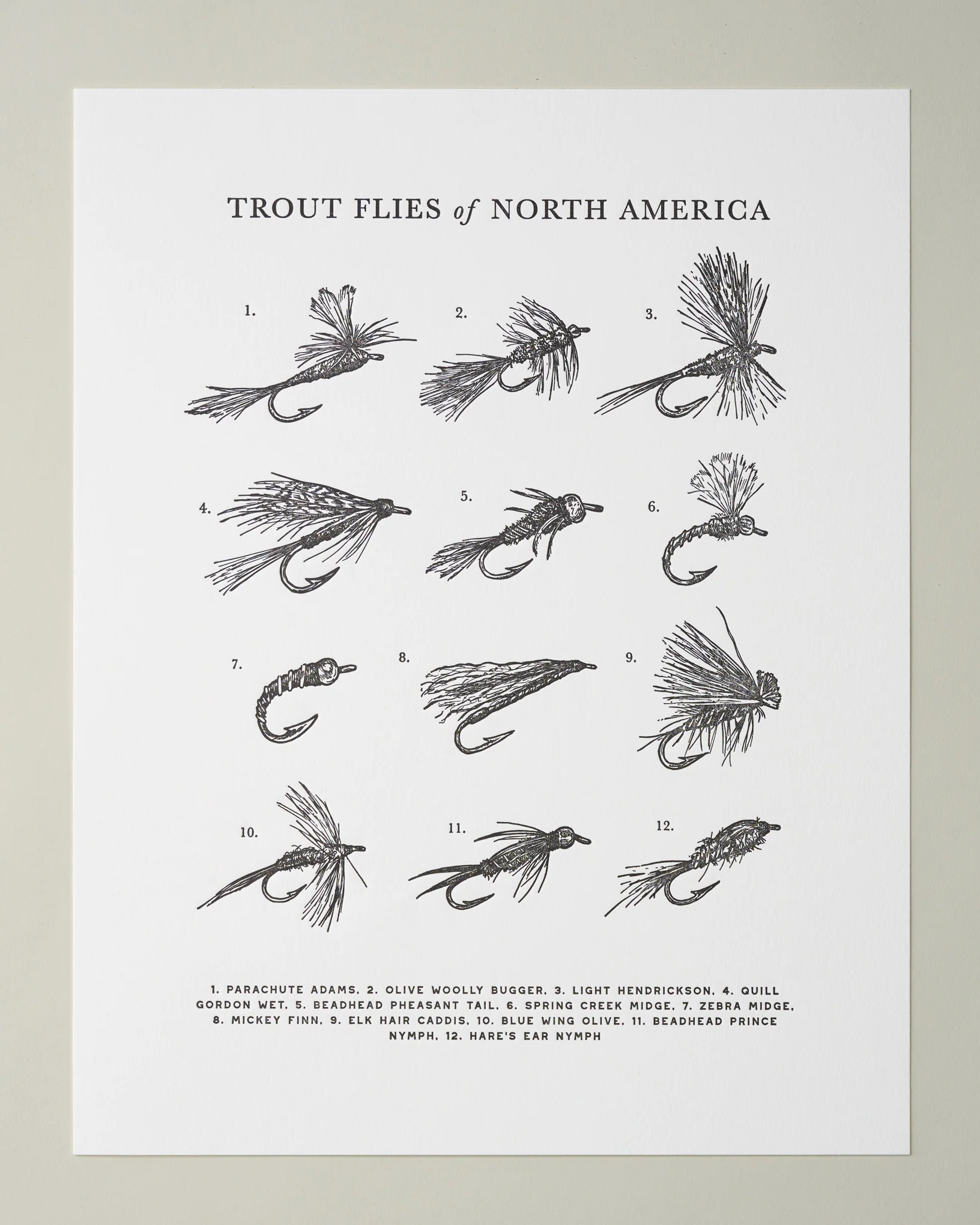 Guide To Trout Flies Print