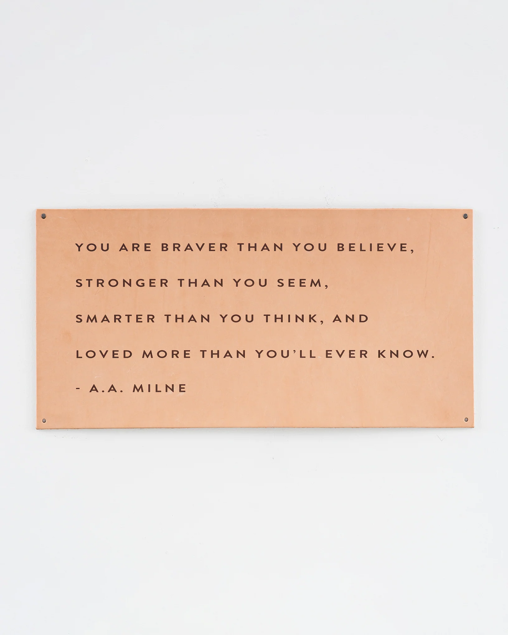 Braver than Leather Sign