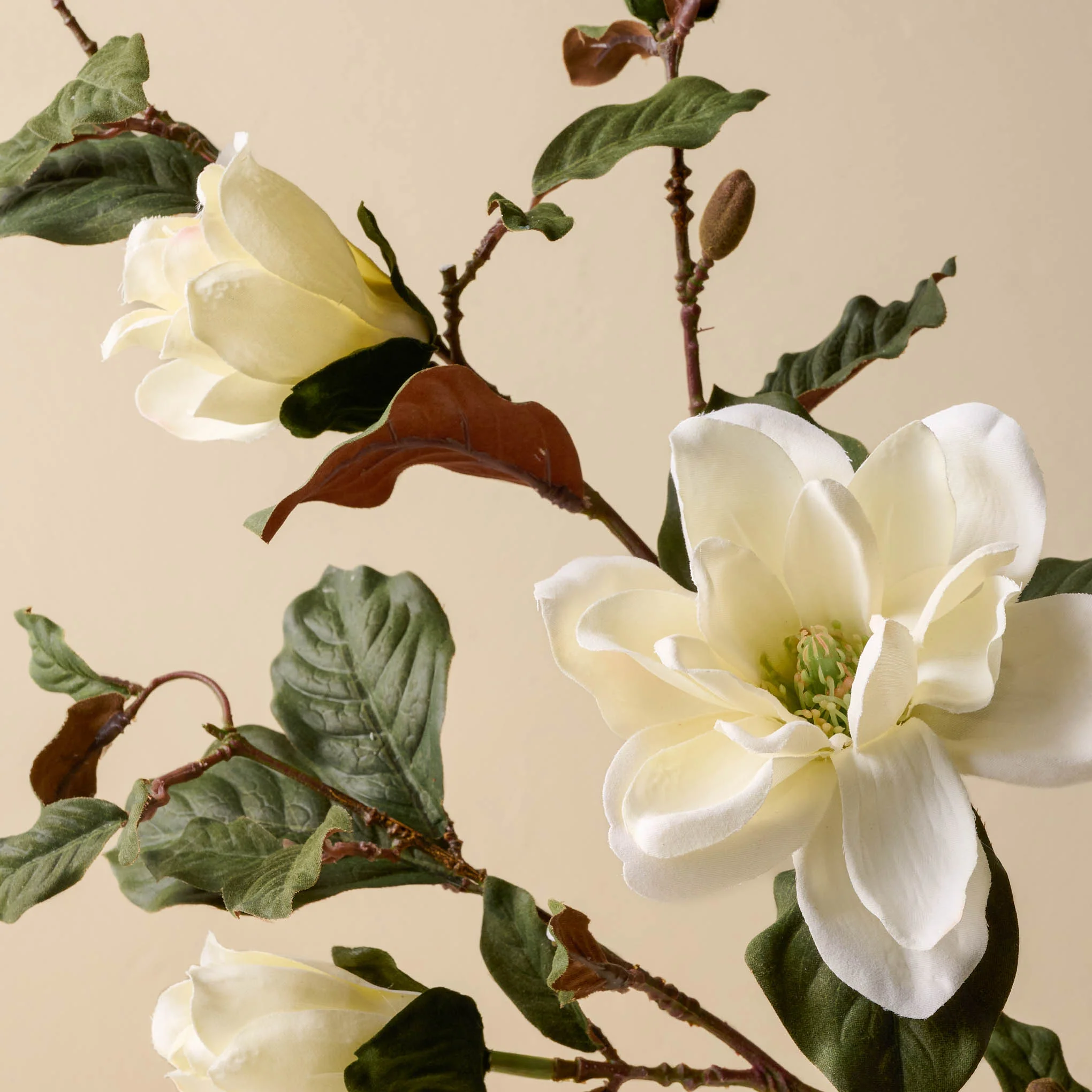 Magnolia Spray