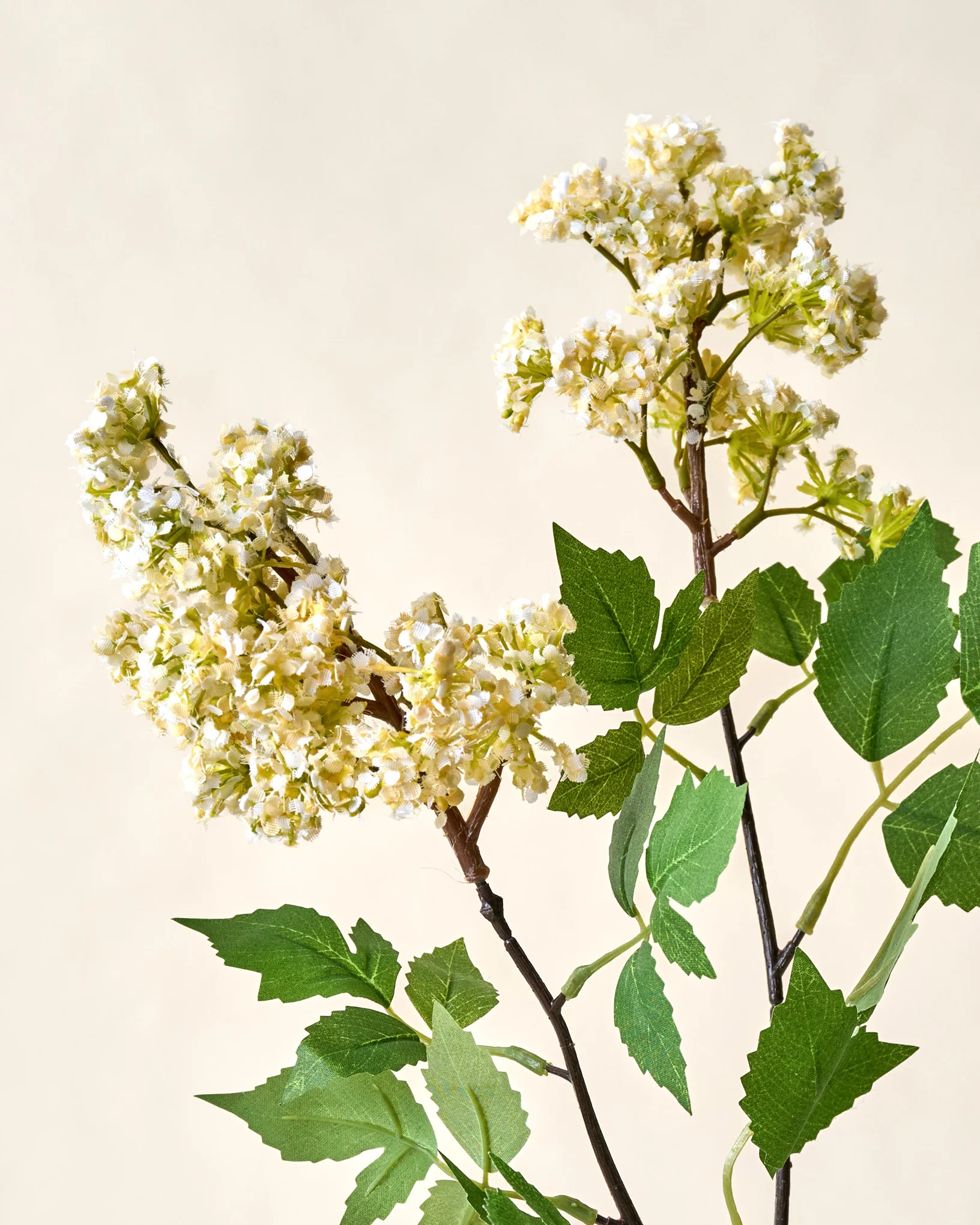 Crepe Myrtle Spray