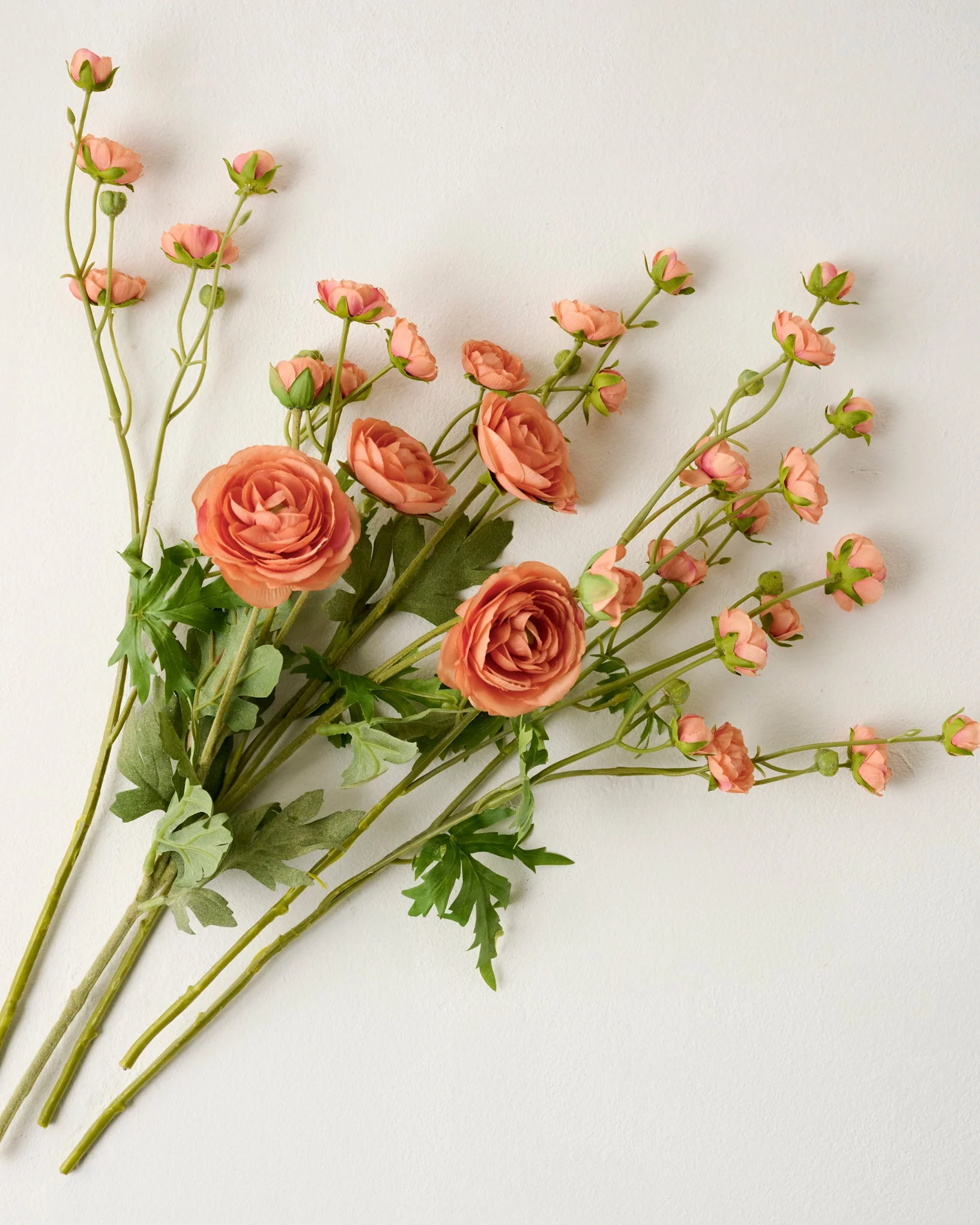 Ranunculus Bloom Bundle