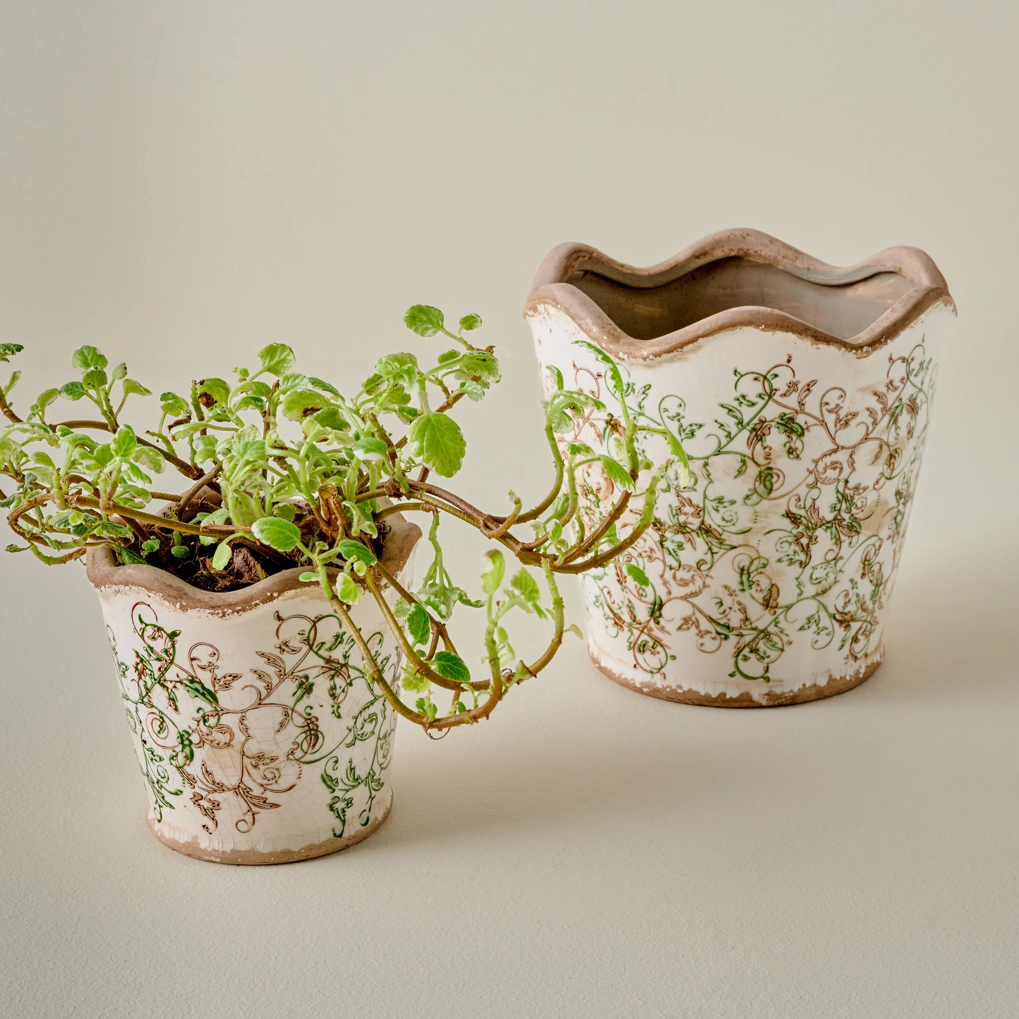 Green Scalloped Distressed Planter