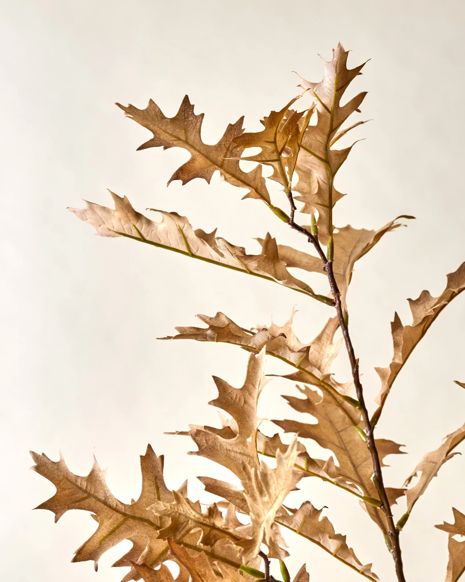 Cream Oak Leaf Spray
