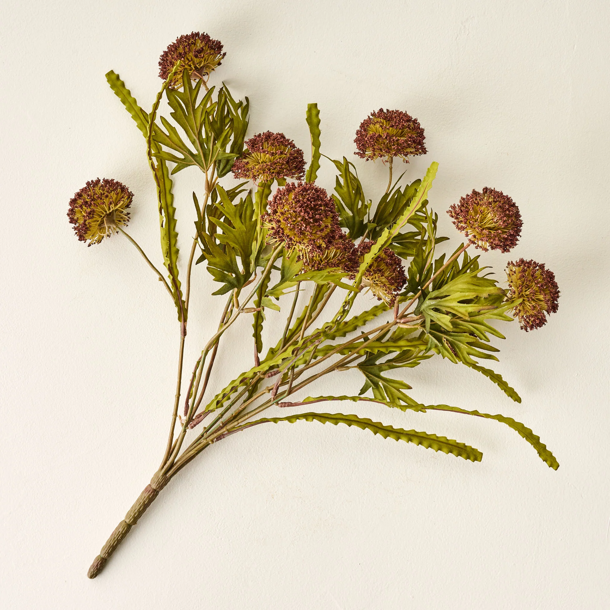 Large Thistle Bush
