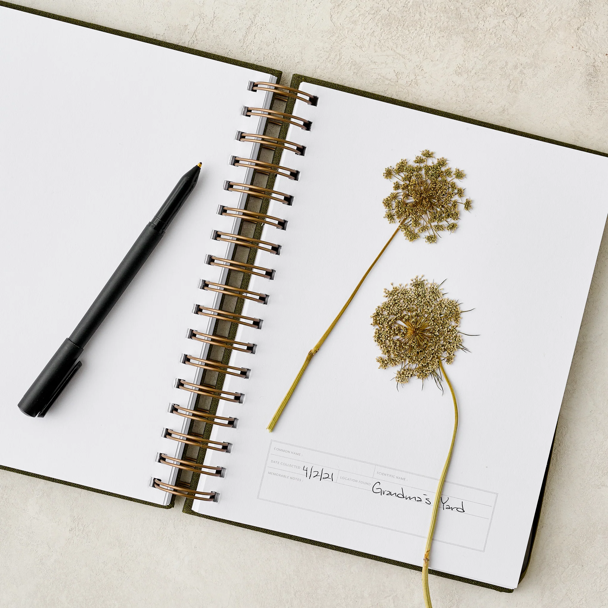Herbarium Journal