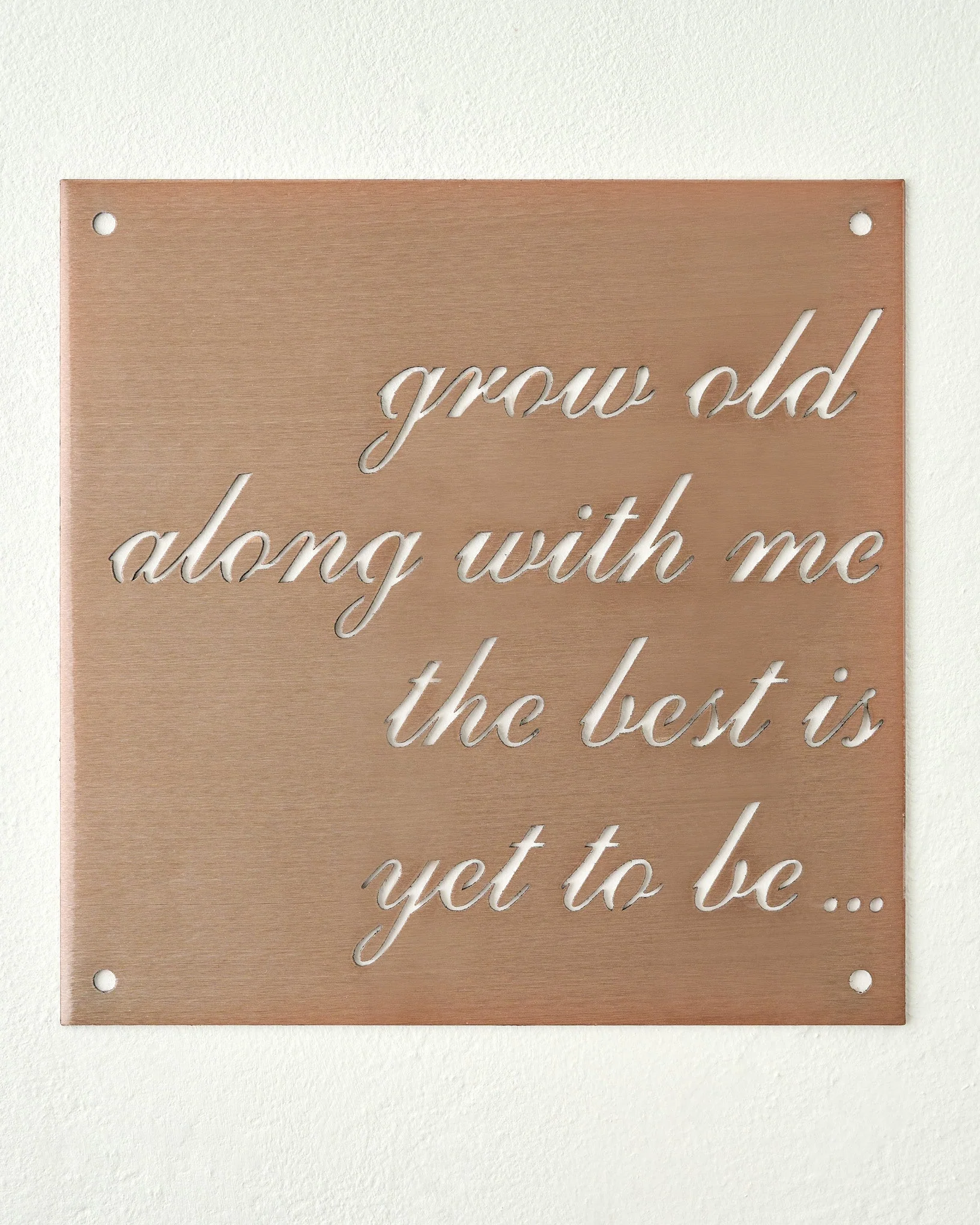 Grow Old Along With Me Sign