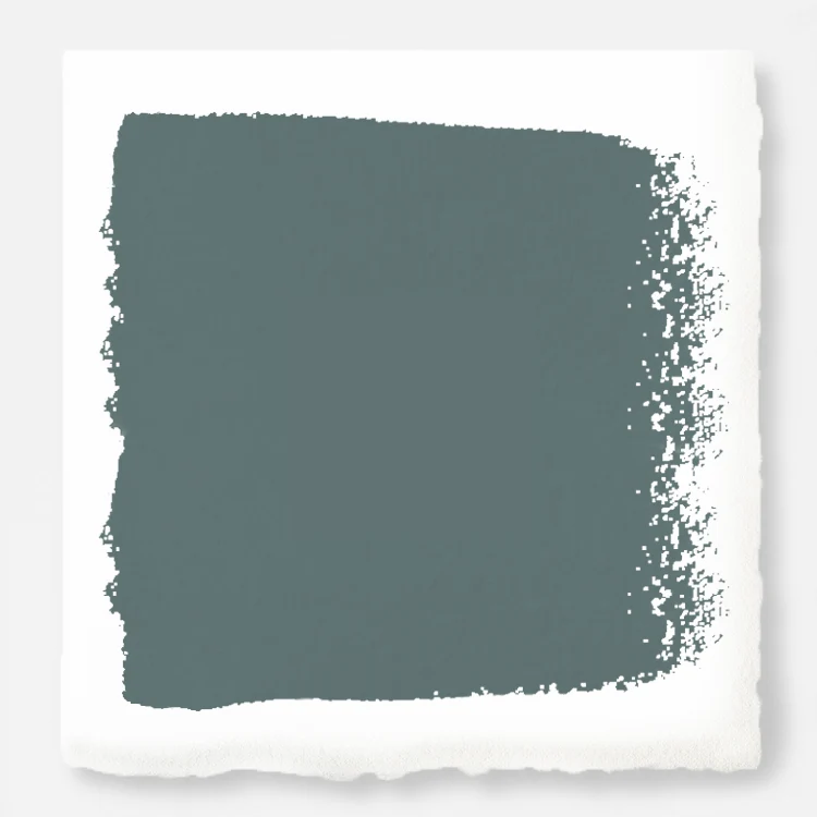 Duke Gray  -  Premium Interior Paint