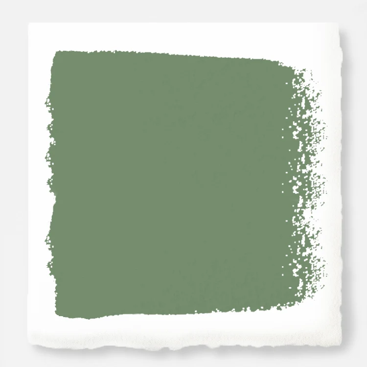 Magnolia Green  -  Premium Interior Paint