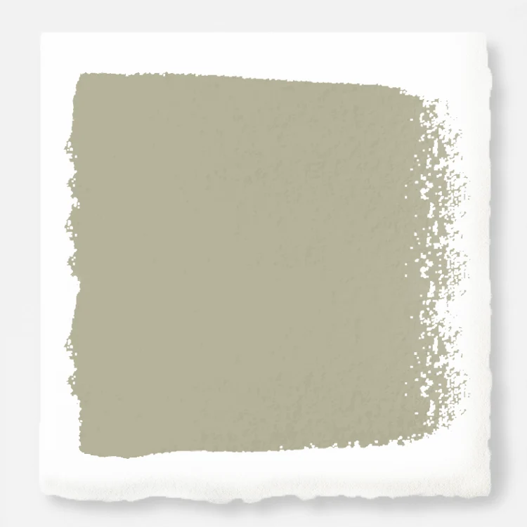 Renewed  -  Premium Interior Paint