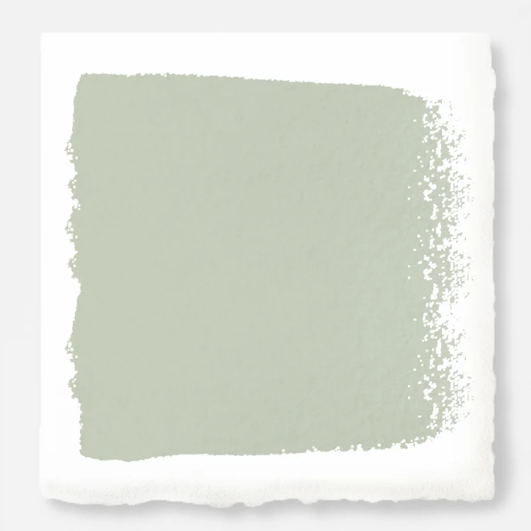 Earl Gray  -  Premium Interior Paint