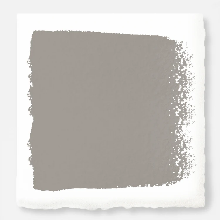 Watering Can  -  Premium Interior Paint