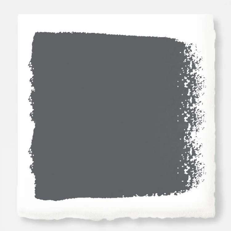 Texas Storm  -  Premium Interior Paint