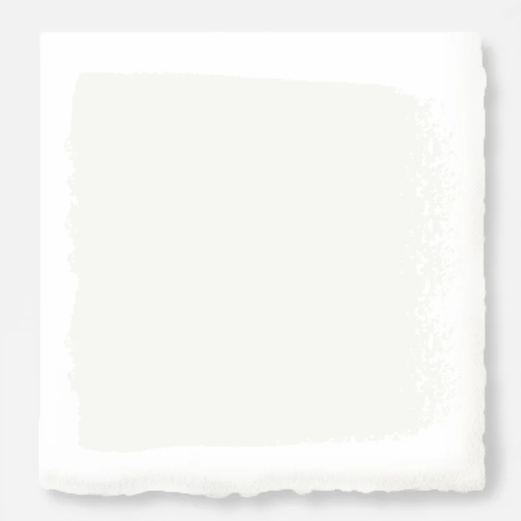 True White  -  Premium Interior Paint