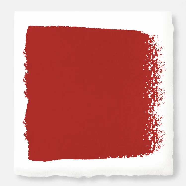Brave and Bold  -  Premium Interior Paint