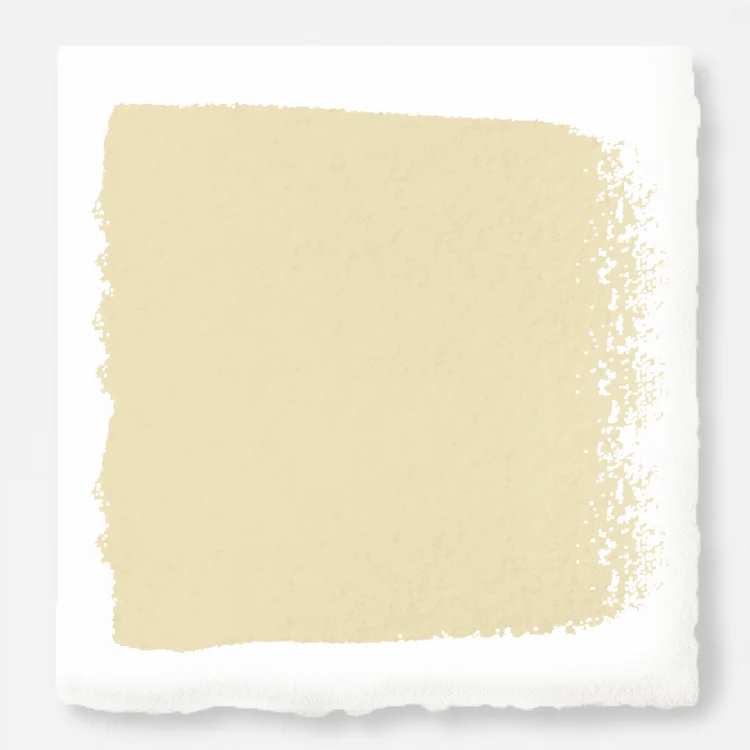 Ambient Light  -  Premium Interior Paint