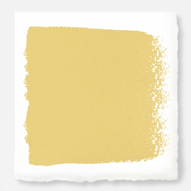 Amber  -  Premium Interior Paint