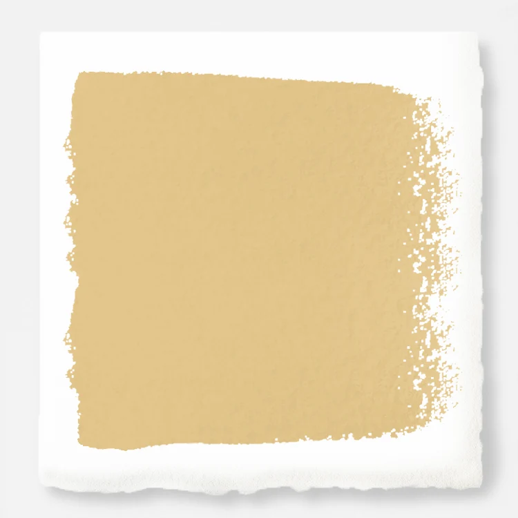 Cottage Feel  -  Premium Interior Paint