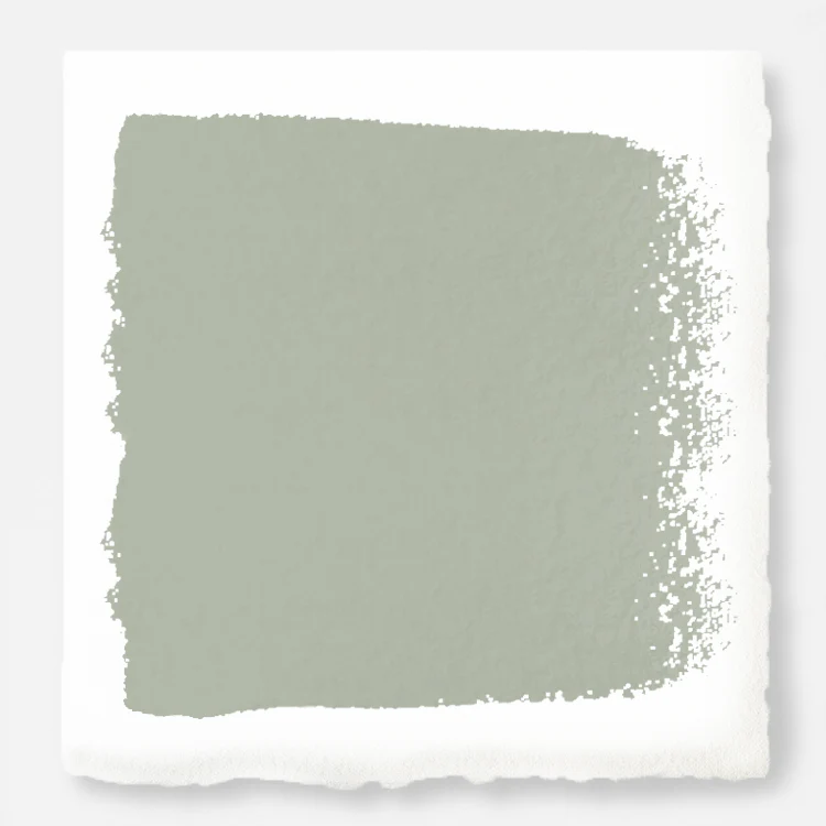 Flower Jar  -  Premium Interior Paint