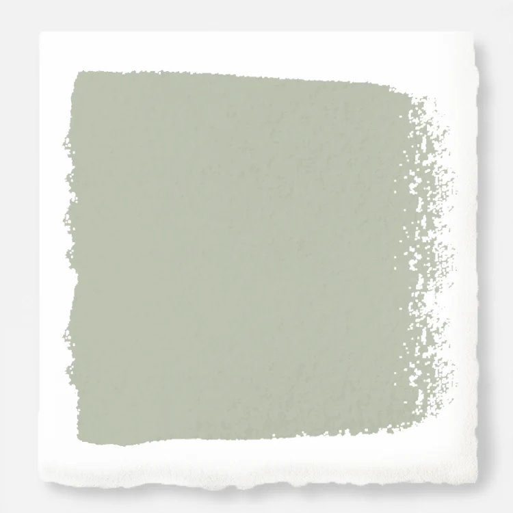 Clean Lines  -  Premium Interior Paint