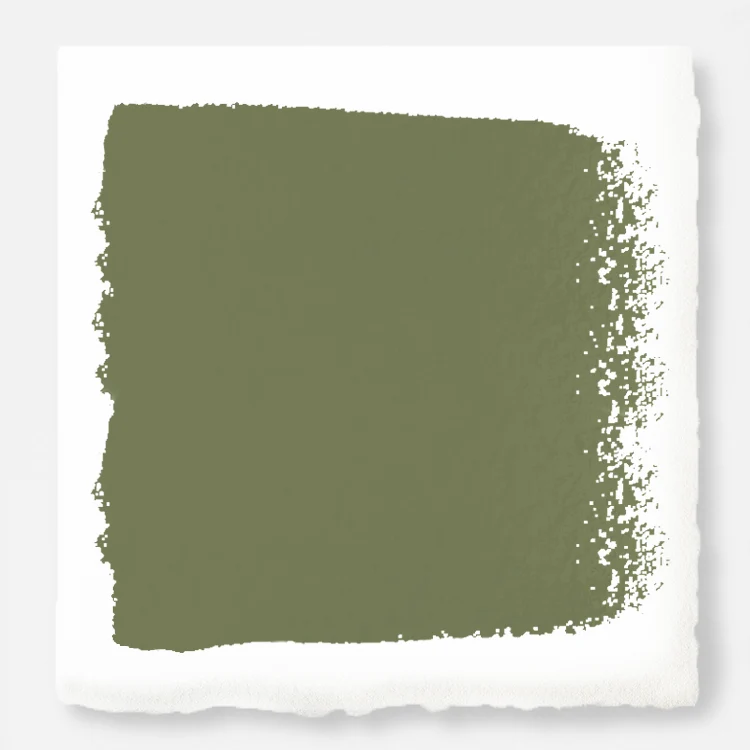 Celery Seed  -  Premium Interior Paint