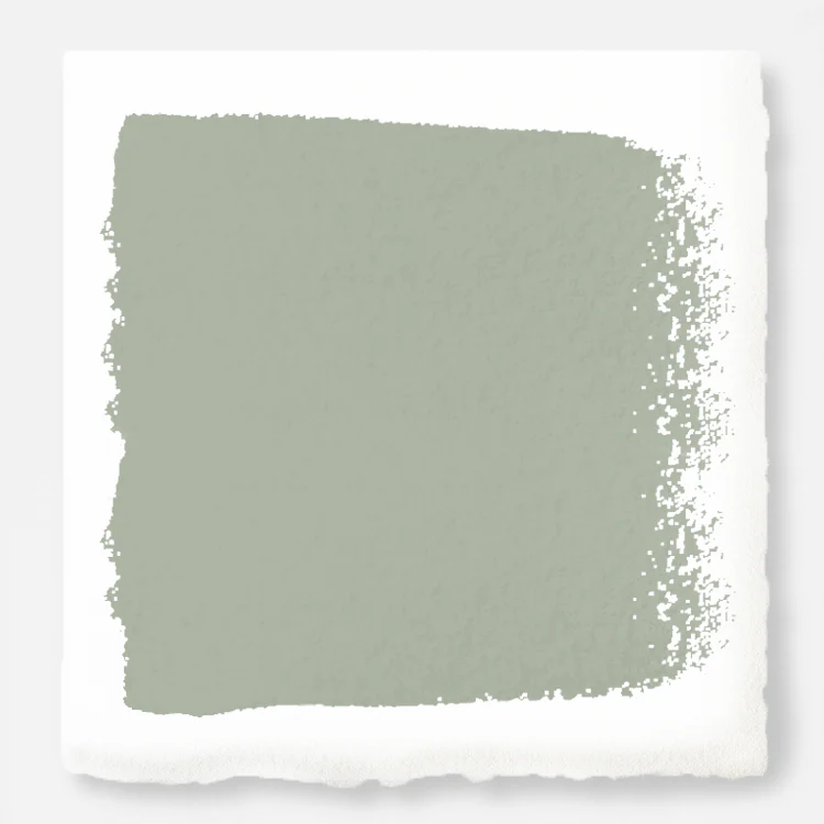 Early Riser  -  Premium Interior Paint