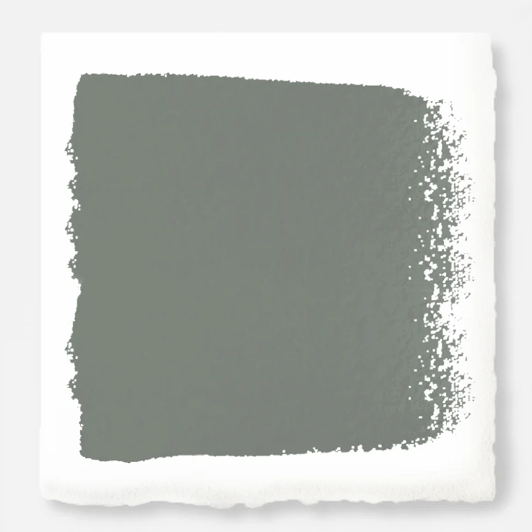 Sage Stem  -  Premium Interior Paint