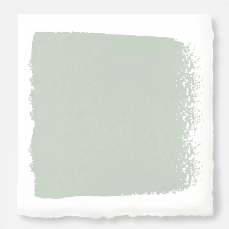 Dark Moon  -  Premium Interior Paint