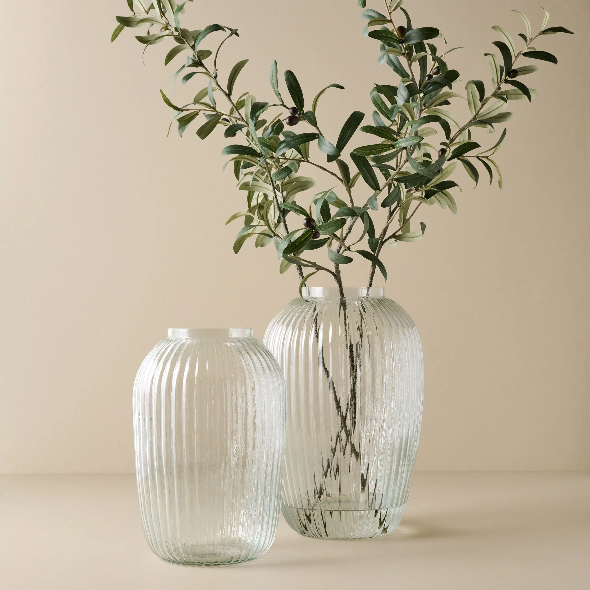 Olive Leaf Stem