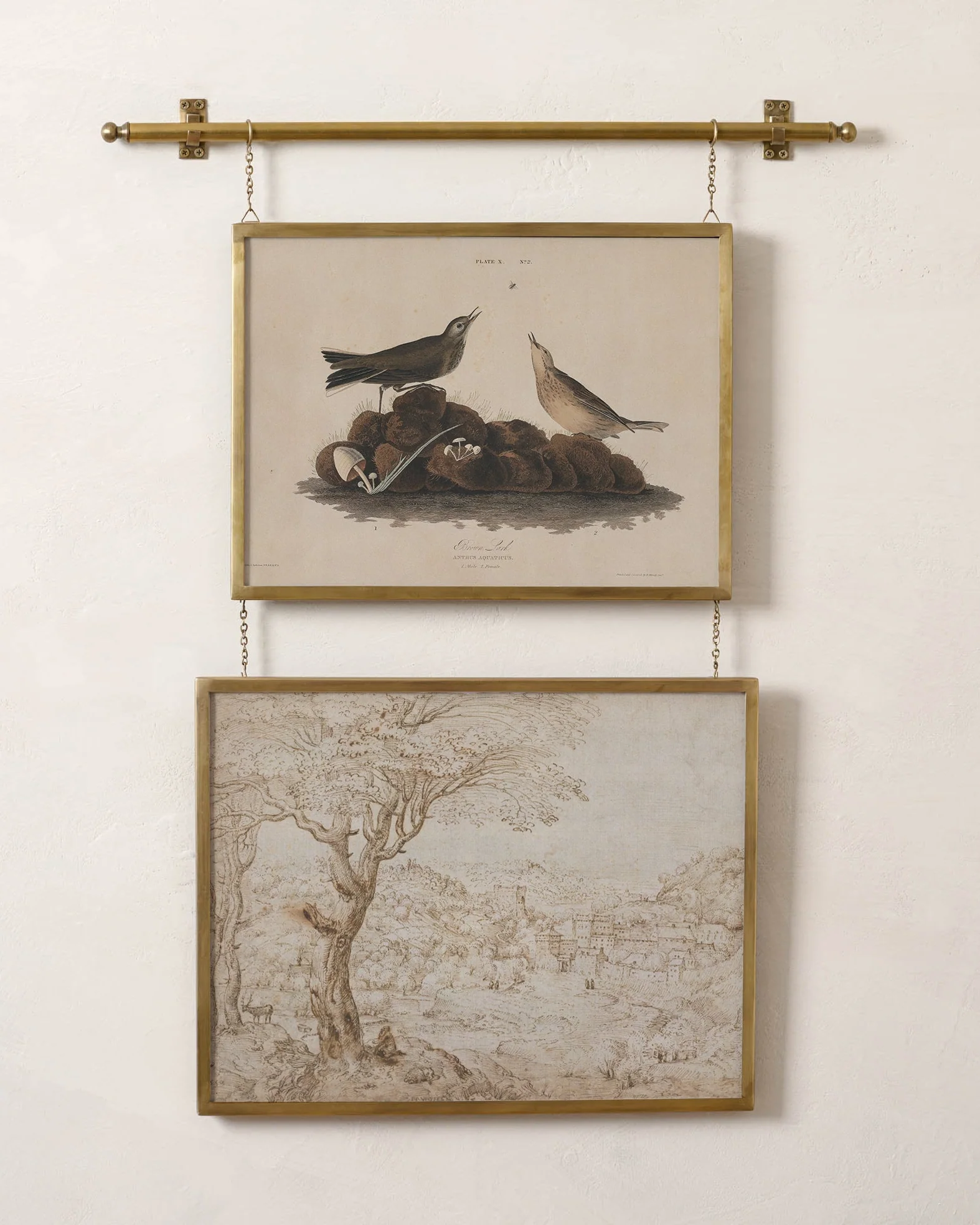 Colleen Brass Rail Double Picture Frame