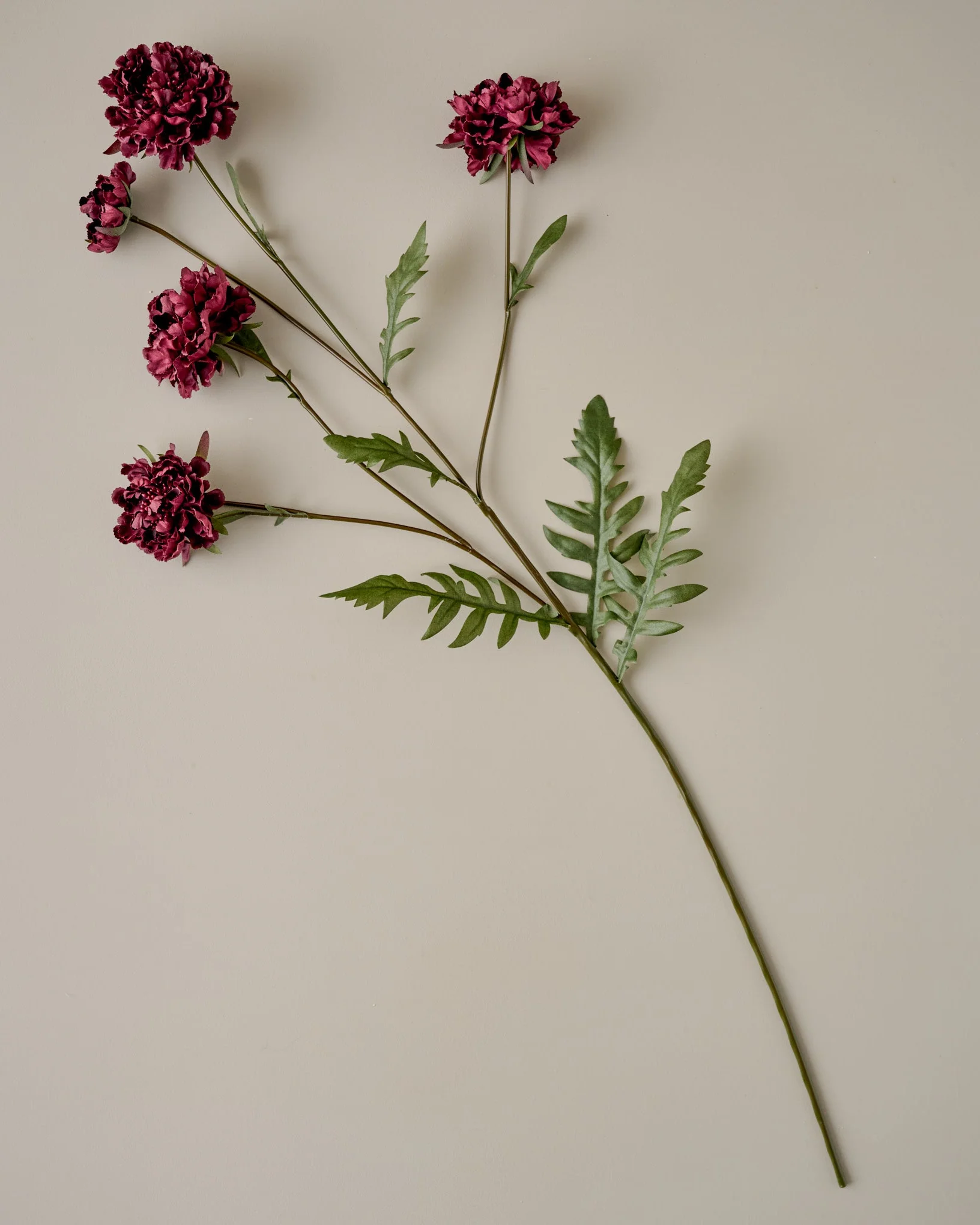 Real Touch Red Velvet Scabiosa Stem