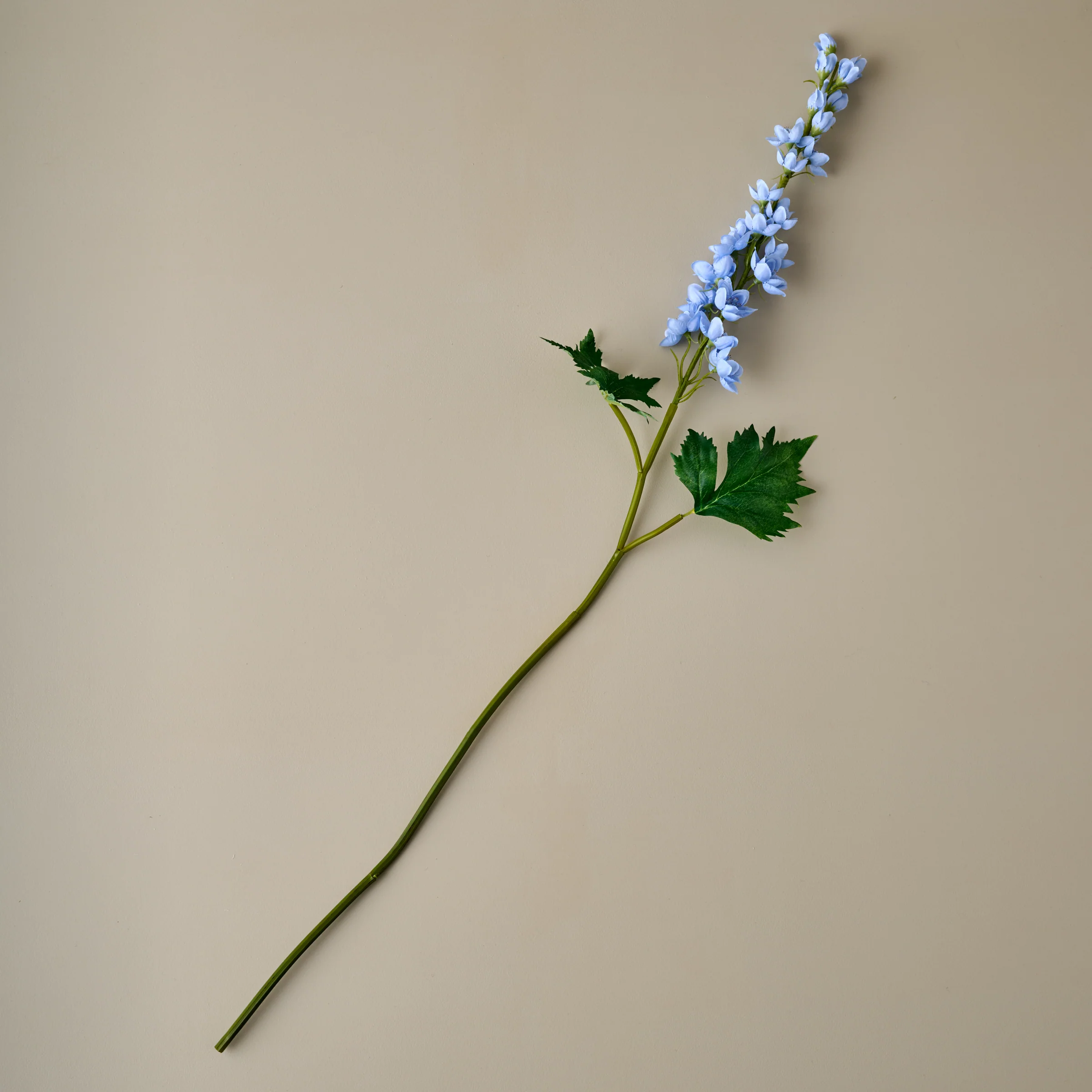 Larkspur Stem