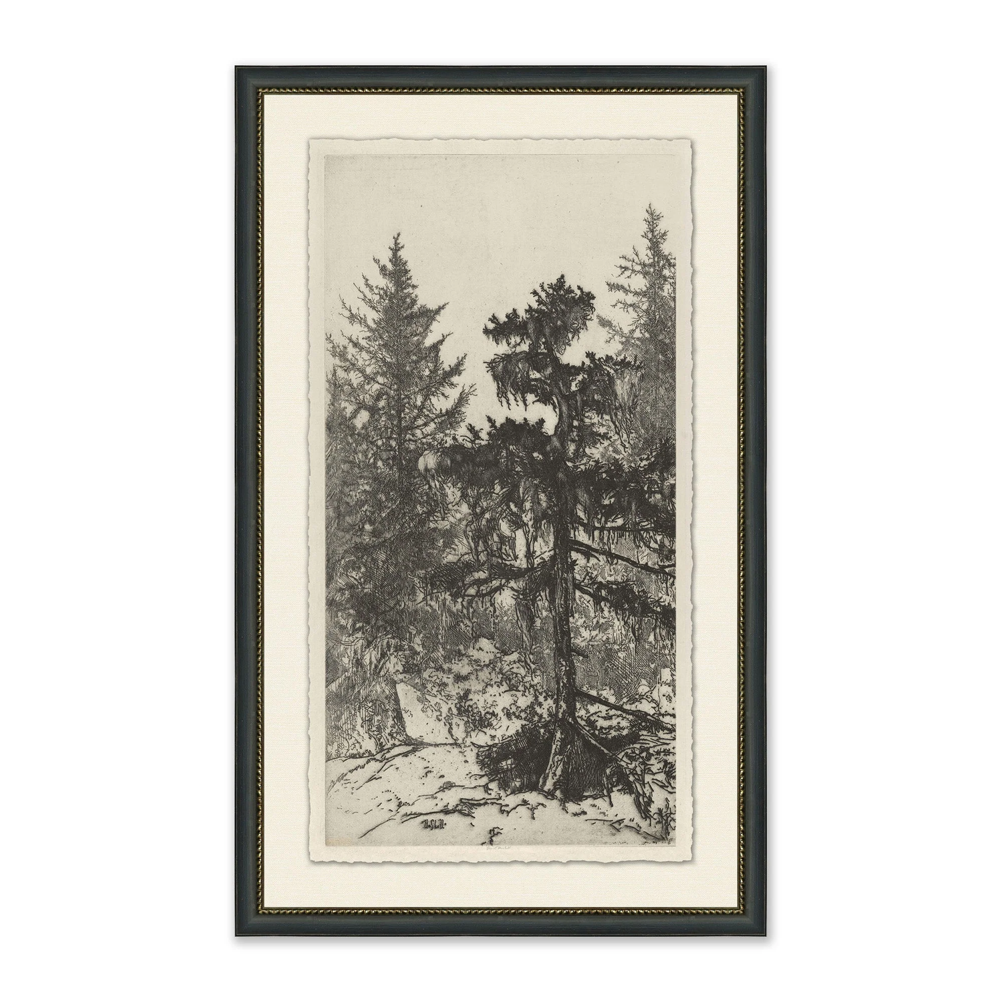 Tall Trees II