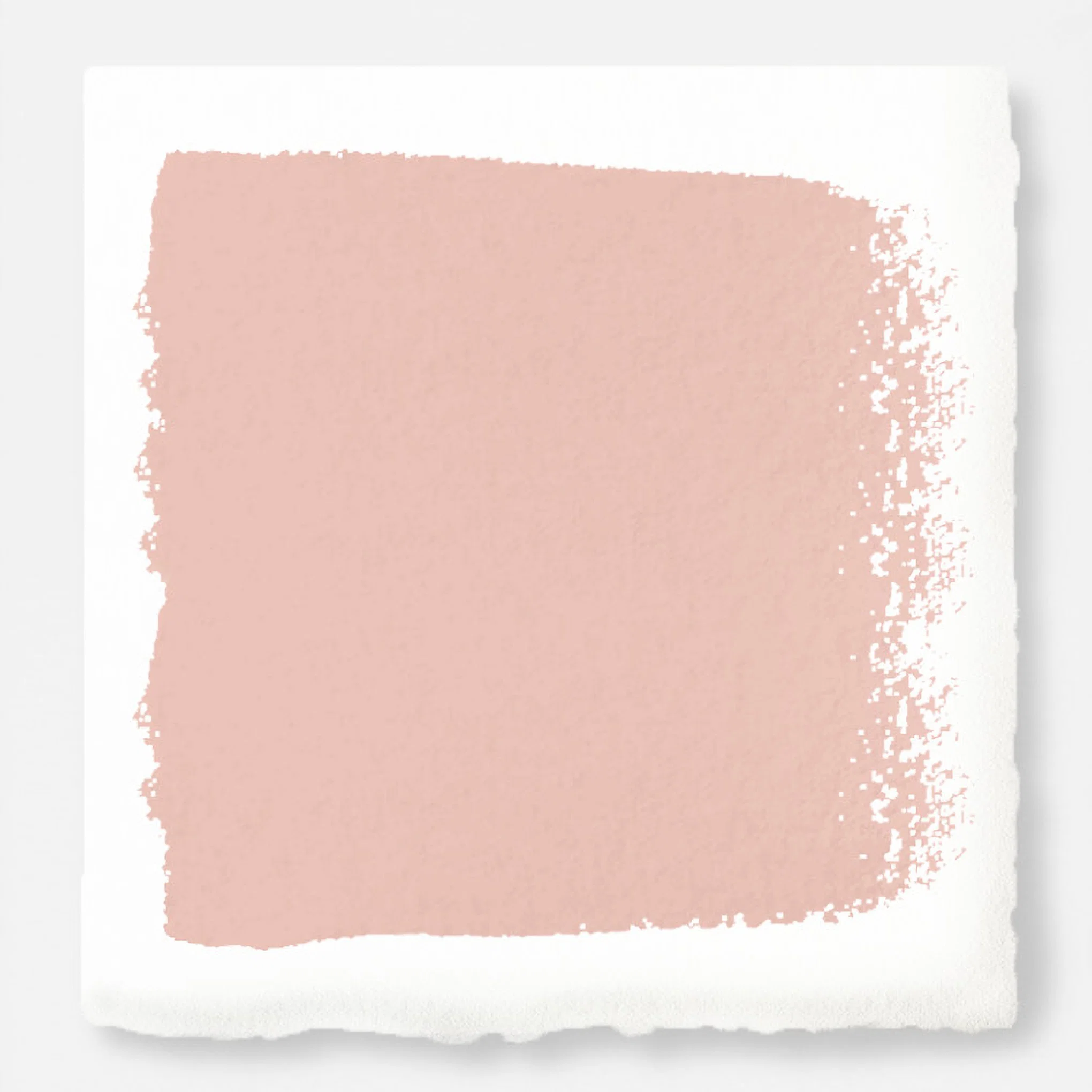 Cabbage Rose -  Classic Interior Paint