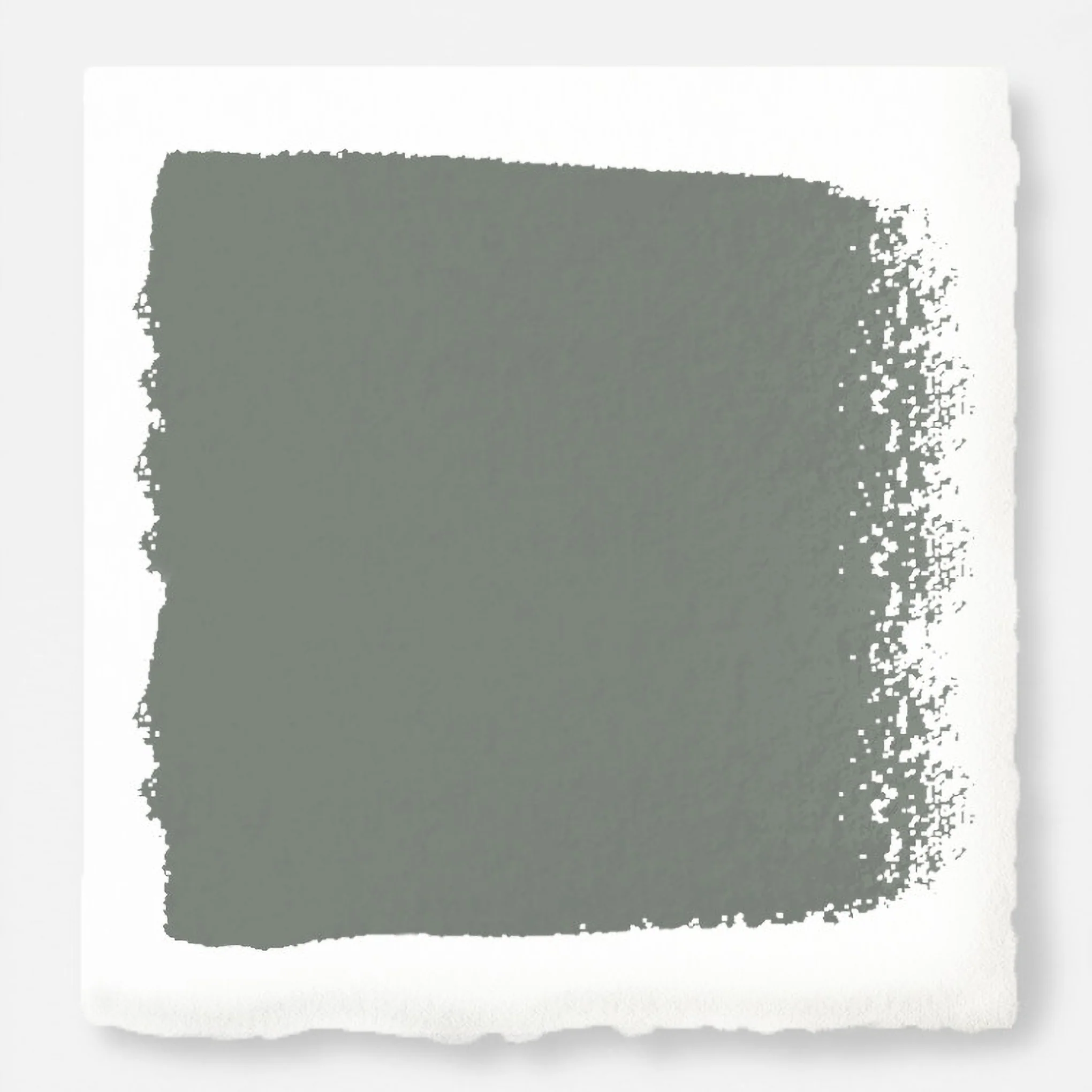 Sage Stem -  Classic Interior Paint