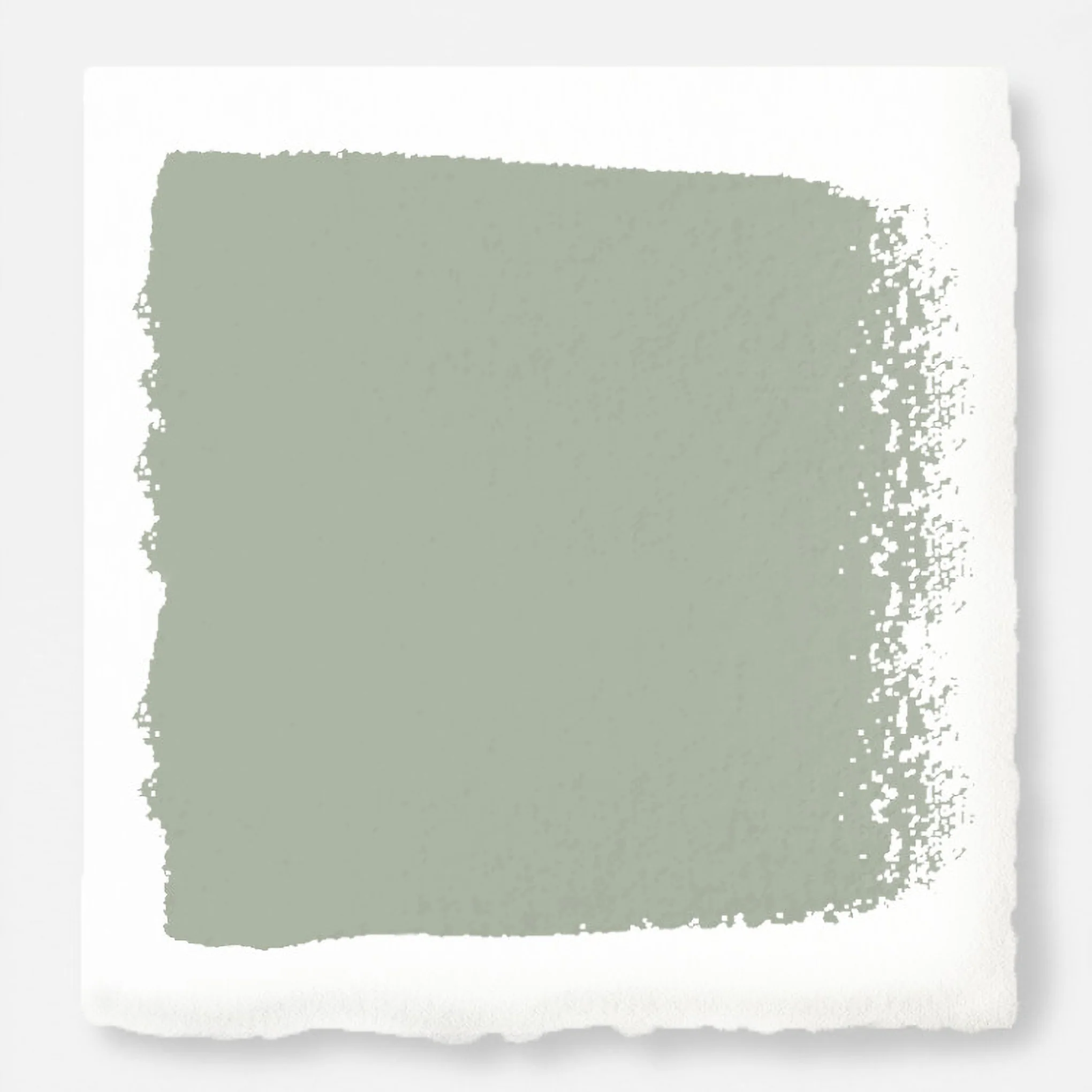 Early Riser -  Classic Interior Paint