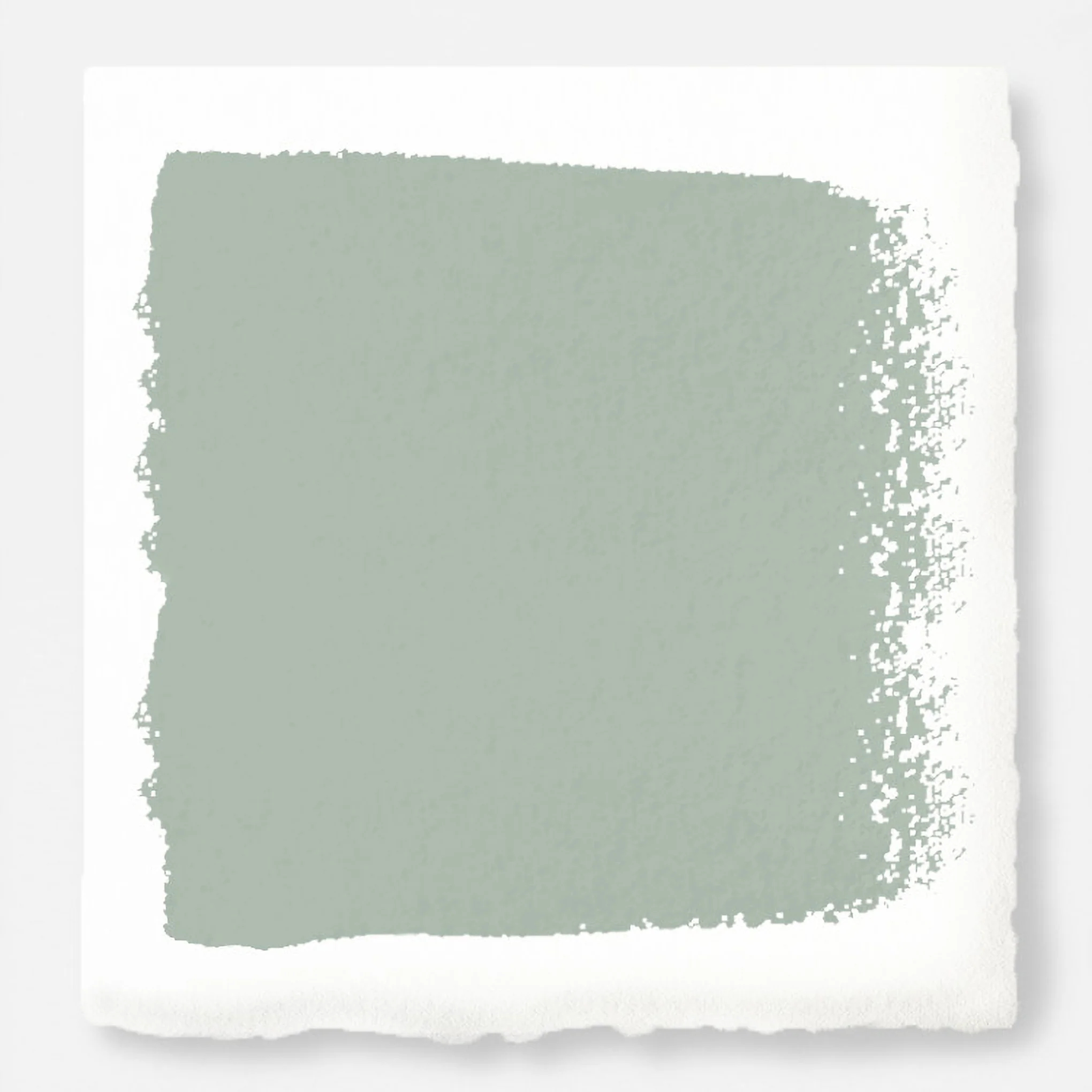 Freshly Cut Stems -  Classic Interior Paint