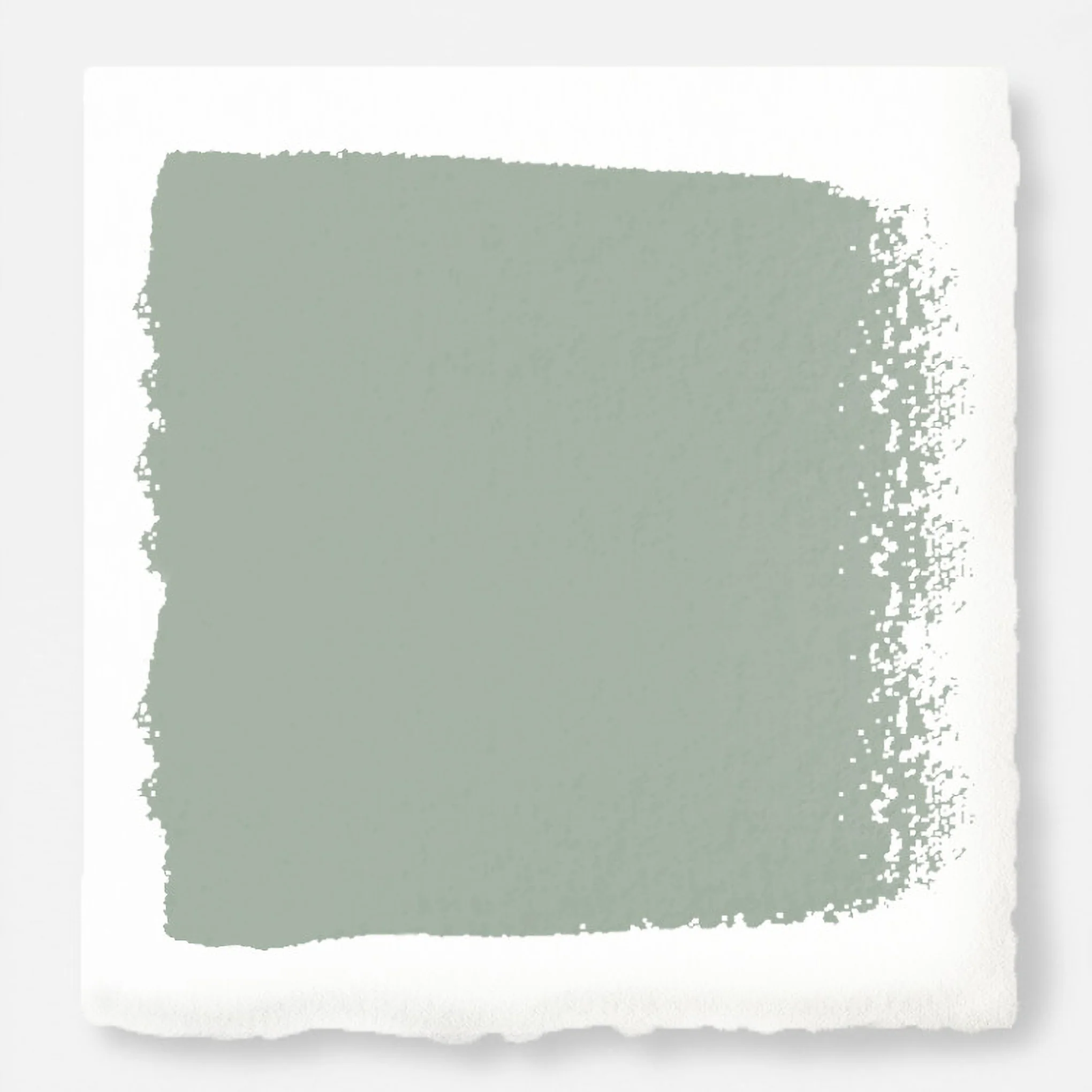 Local Greenhouse -  Classic Interior Paint