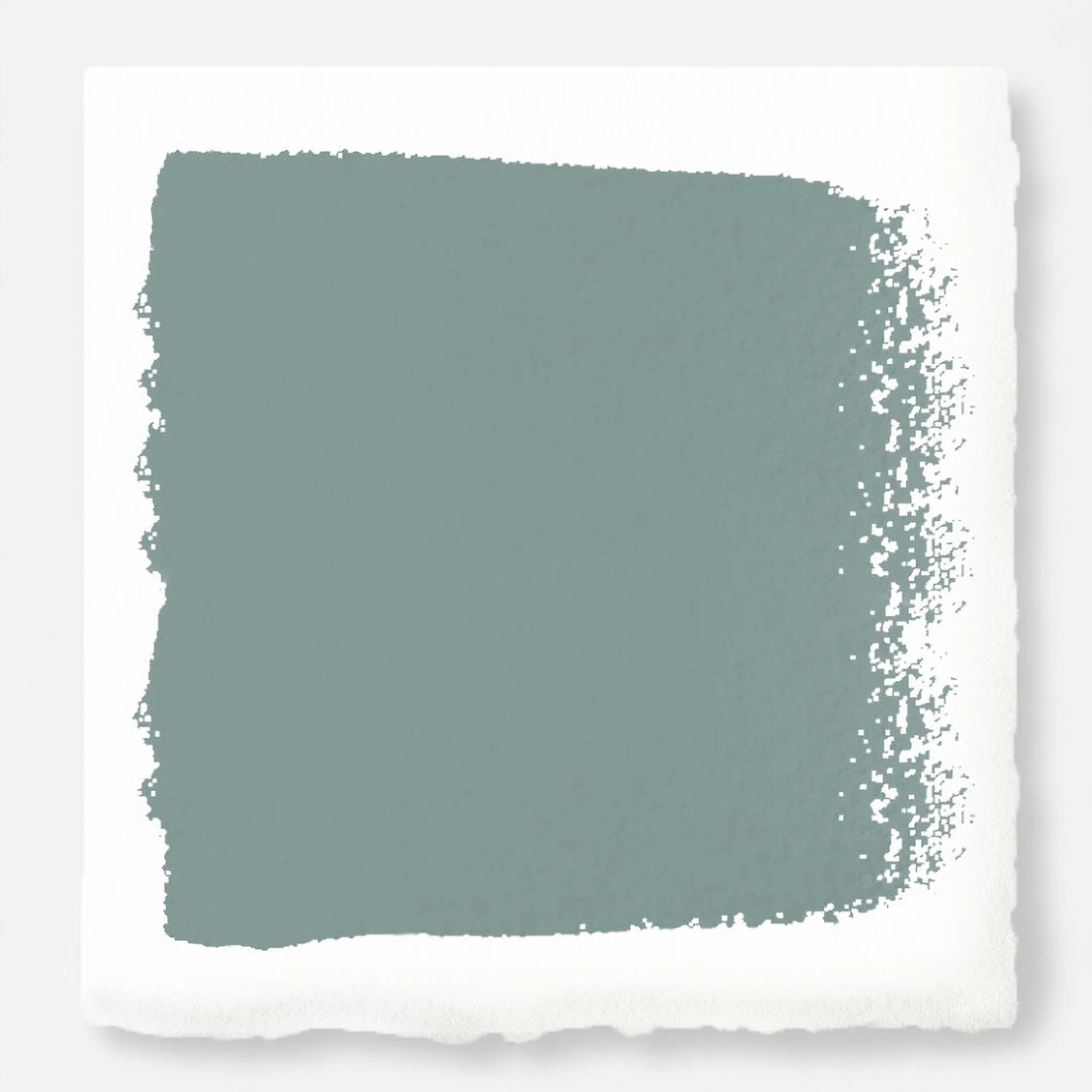 Well Watered -  Classic Interior Paint