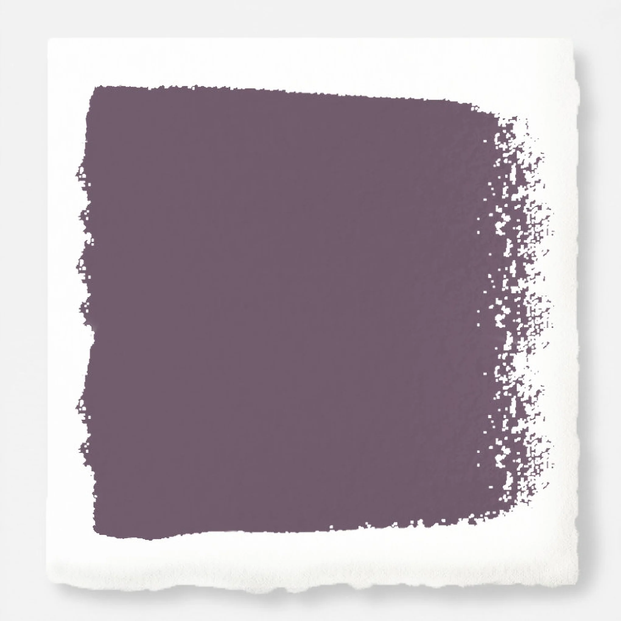 Webster Avenue -  Classic Interior Paint