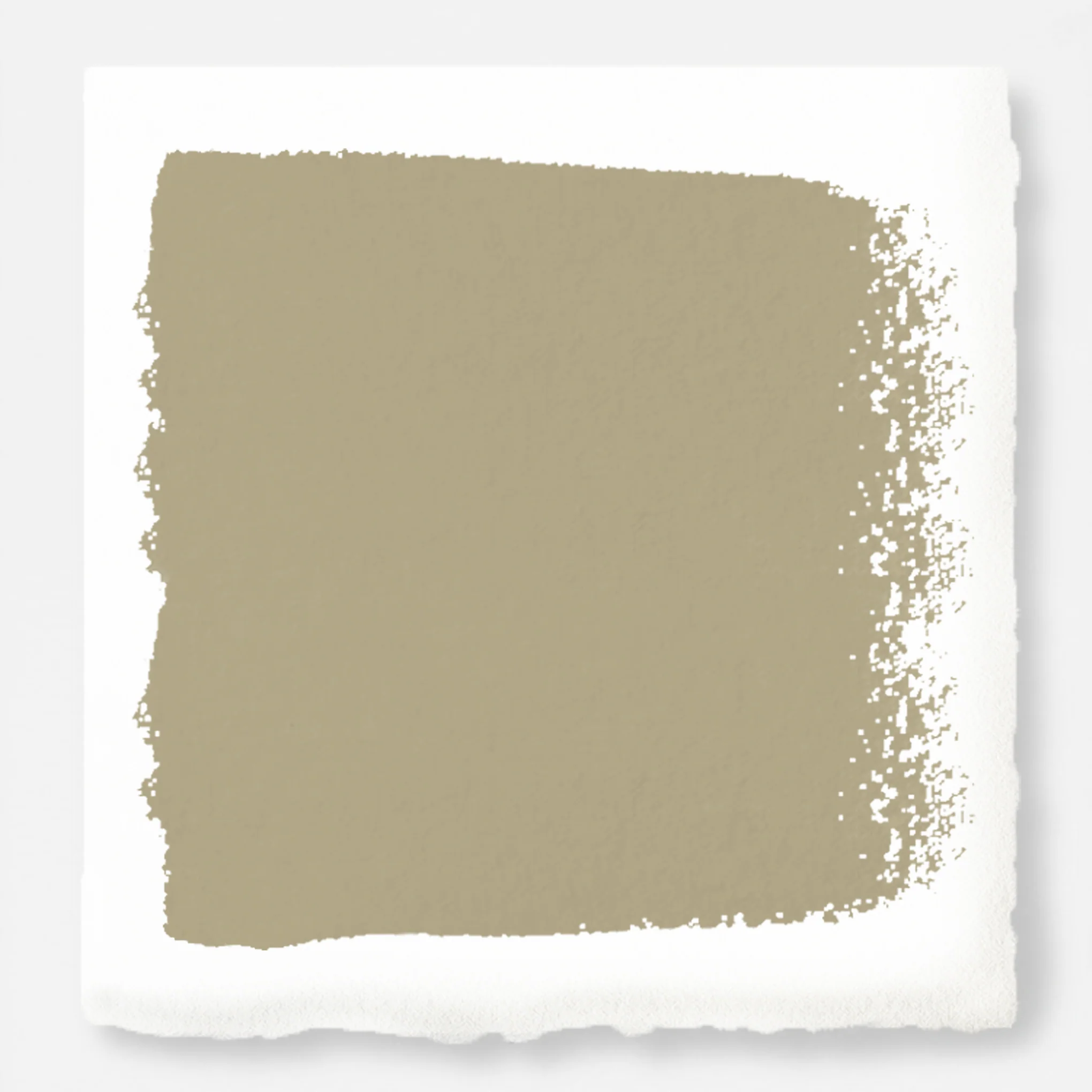 Juniper Tree - Exterior Paint