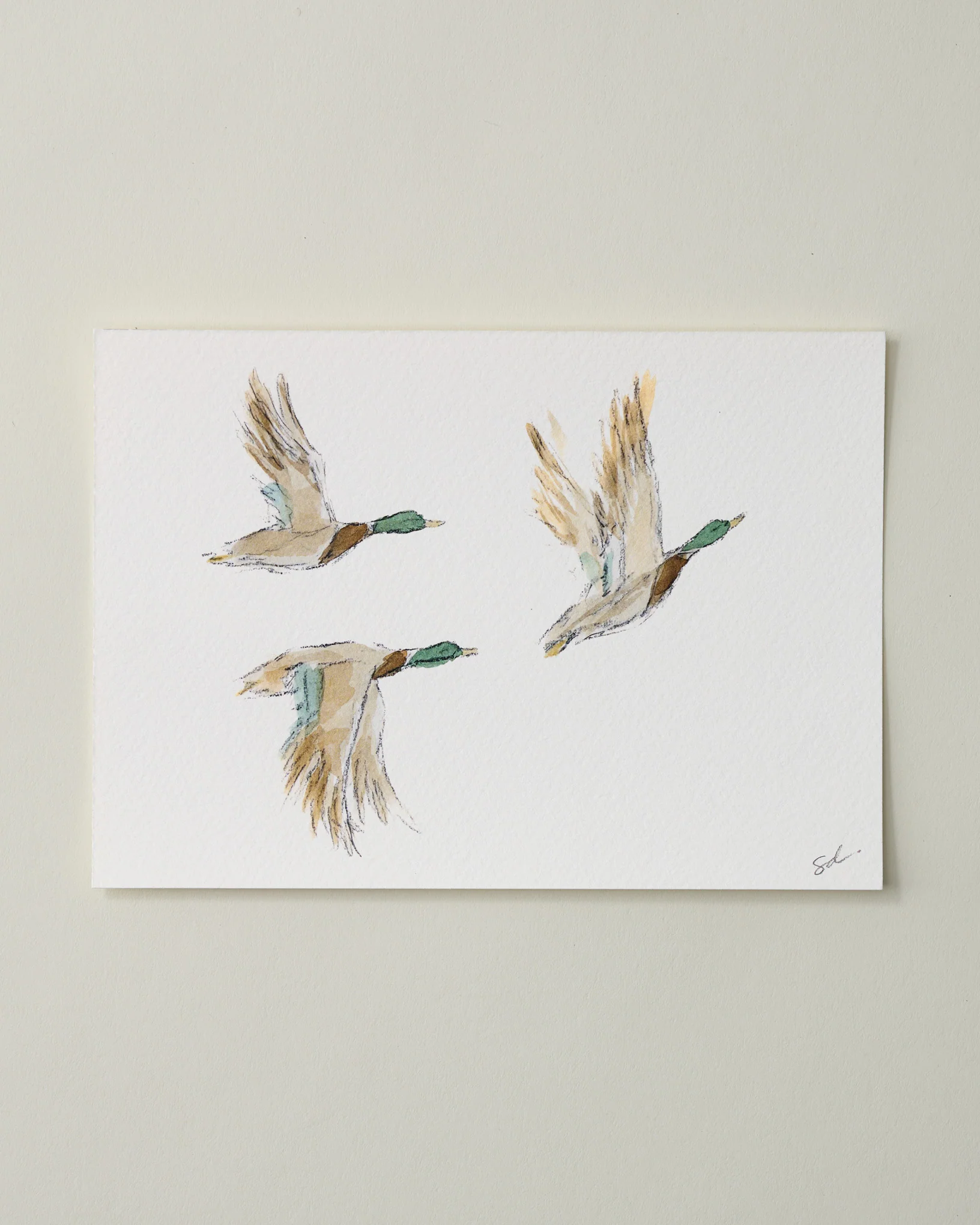 Mallards in Flight II Fine Art Print - 5 x 7