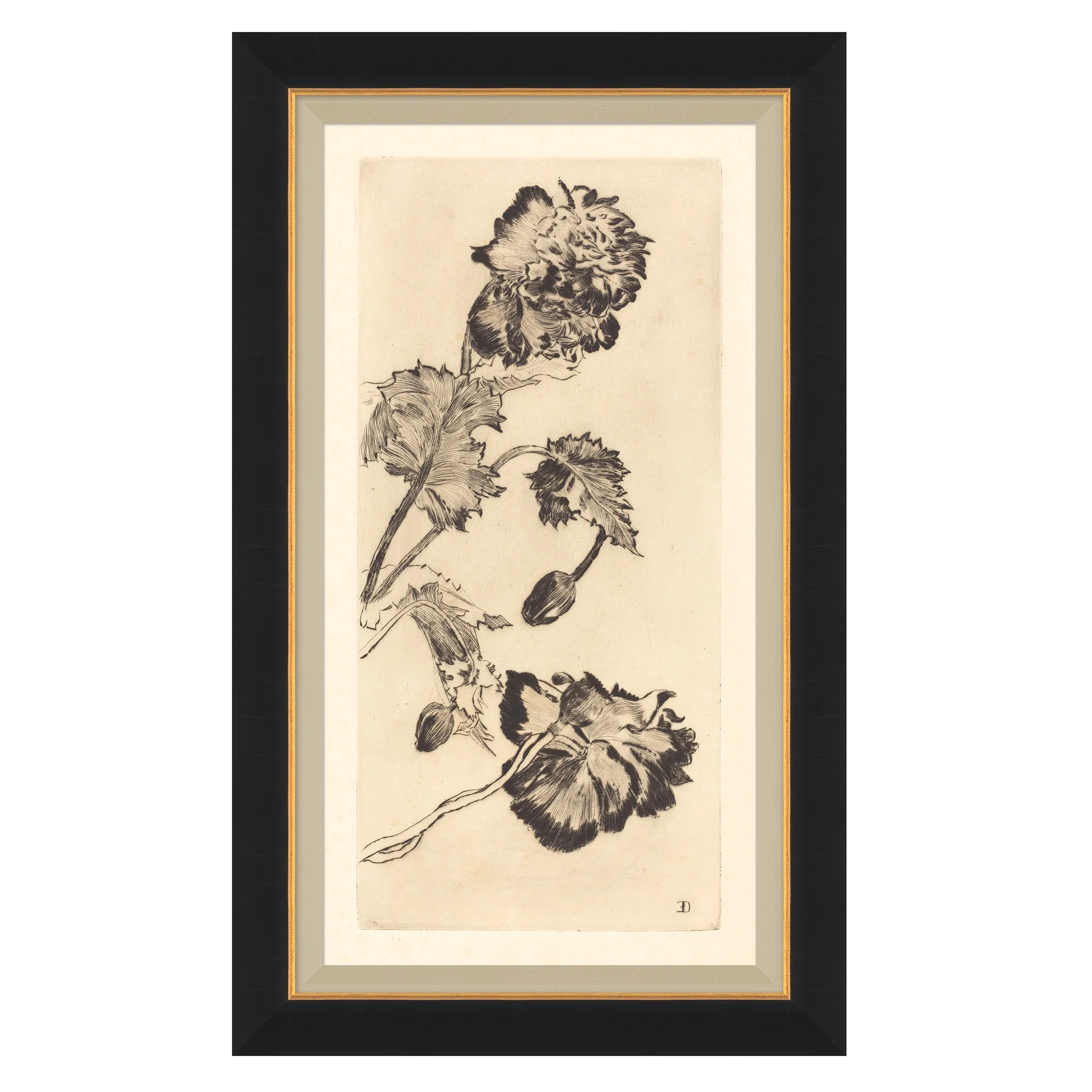 Vintage Peony I