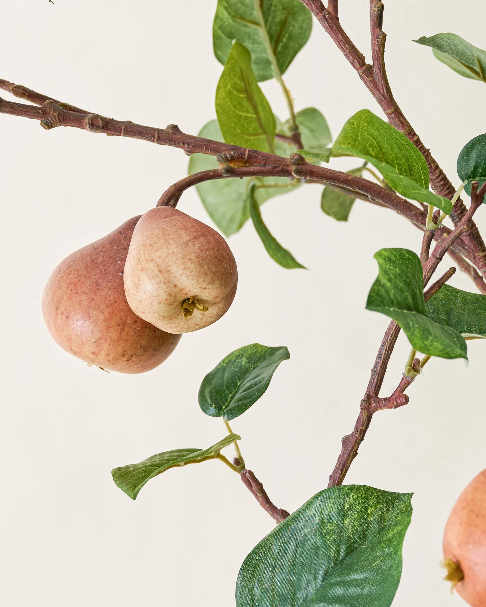 Oversized Pear Stem