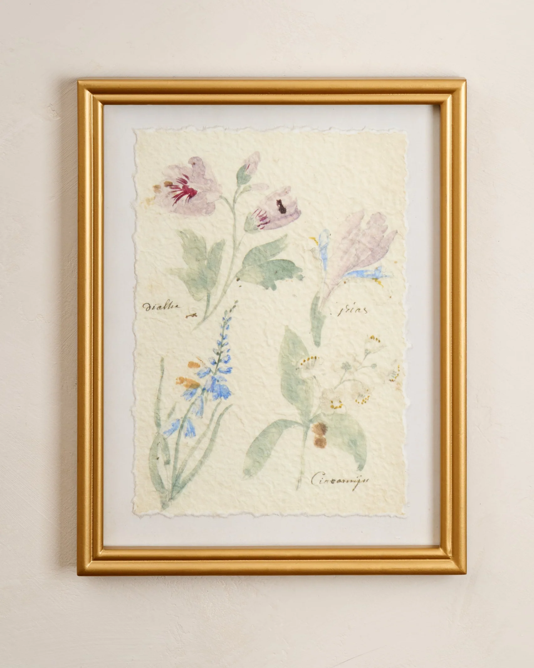 Watercolor Floral Framed Print