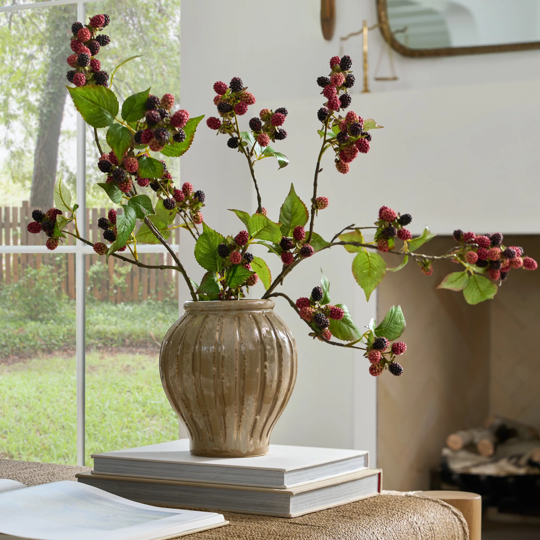 Blackberry Vine Stem