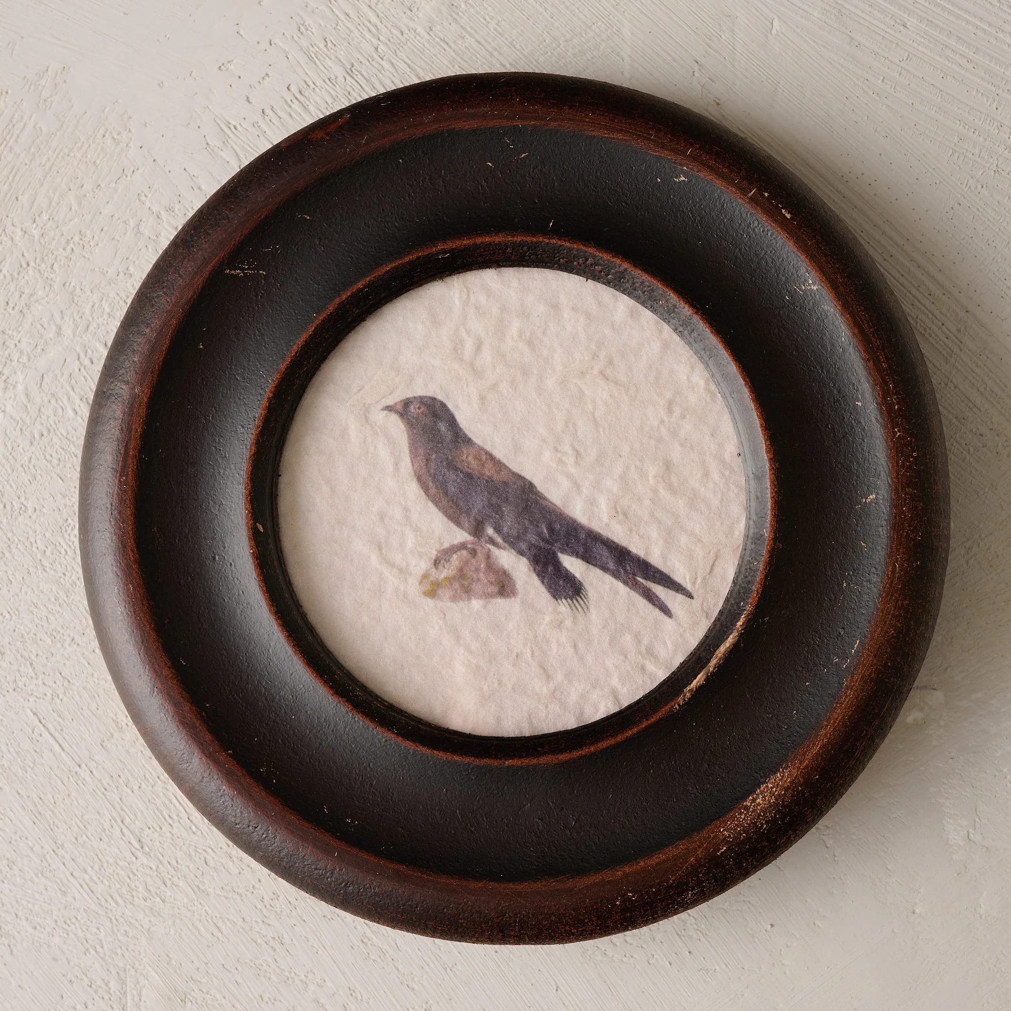 Vintage Framed Bird Print