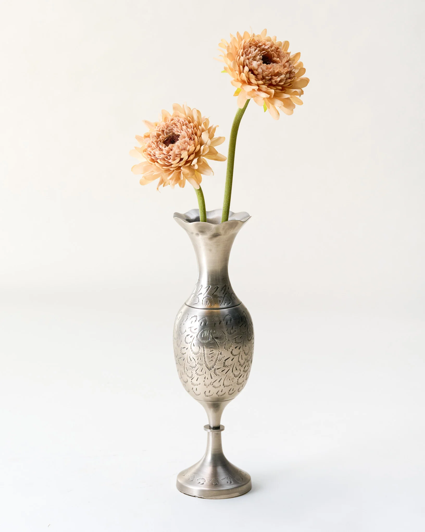 Gerber Daisy Stem