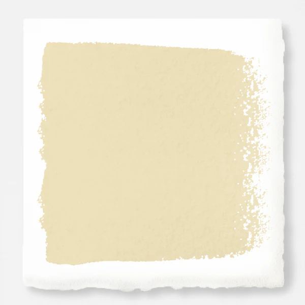 Ambient Light - Exterior Paint