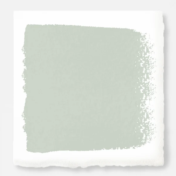 Dark Moon - Exterior Paint