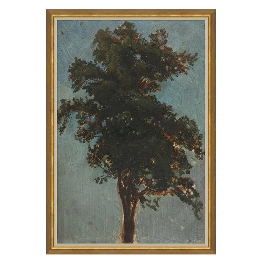 Tree Top